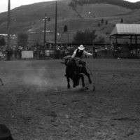 1981 Rodeo, Bull Riding 11