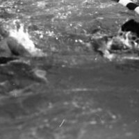 1985 Triathlon, Swimming 06