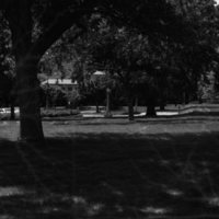 1981 Campus from Inlow Hall 02