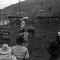 1984 Rodeo Club, Bull Riding 09