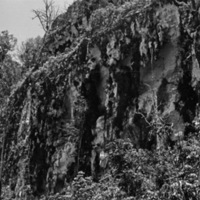 Biak Coral Cliffs 1