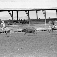 1978 Rodeo, Roping Pairs 02