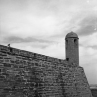 St. Augustine 33
