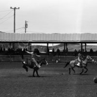 1981 Rodeo, Bronco Riding 03