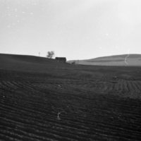 1980 Agriculture, Furrowed Field 01