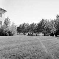 1978 Campus in Spring 04