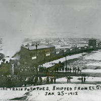 Elgin, Potatoe Train