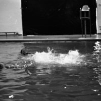 1982 Swimming, Synchronized 08