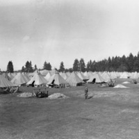 Rows of tents making a full camp, many columns deep, in a wooded clearing.  Cookfires can be seen in the foreground.