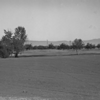 Island City, Golf Course 5