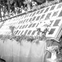 Cove, Cherry Fair Display 14