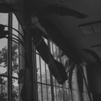 1975 Walter M. Pierce Library, Interior 05
