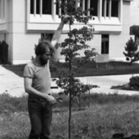 1981 Campus Tree Plantings 07