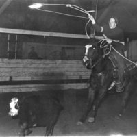 1976 Rodeo, Roping