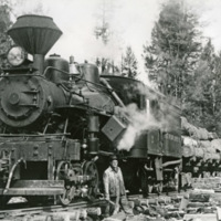 Sled Springs, Train 2
