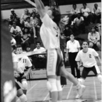 1991 Volleyball Action, Lewis &amp; Clark at EOSC 04