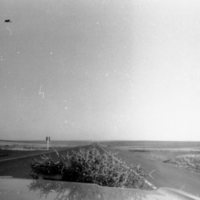 1976 Tumbleweed