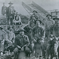 GRV, Threshing Operation 9