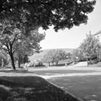 1978 Campus in Spring 08
