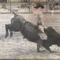 1984 Rodeo Club, Bull Riding 03