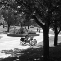 1979 Students, Outdoors 15