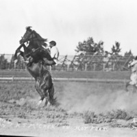 Rodeo, Bucking Bronco 5