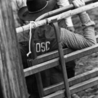 1986 Springfest, Rodeo Cowboys 24