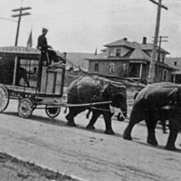 La Grande Parade, Circus 2