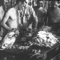 Leyte Camp, Holiday Turkey 2