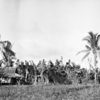 Leyte Local Houses 5