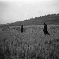 Farm, Bound Wheat