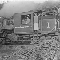 Logging Train 3