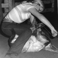 80's Rodeo, Roping 4