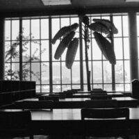 1975 Walter M. Pierce Library, Interior 06