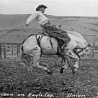 Union Stock Show, 1950 1