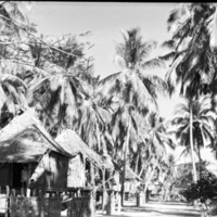Barrio on Nearby Island 2