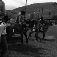 1981 Rodeo, Bronco Riding 01