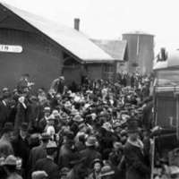 1912 Elgin, Elk Cargo