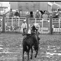 1991 Eastern Rodeo, Bronco Riding 05