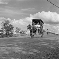 Binmaley Locals, Horse Cart 1