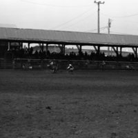 1981 Rodeo, Bulldogging 05