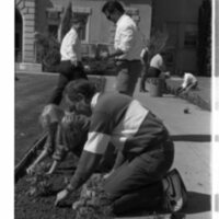 1989 Employees, Planting 07