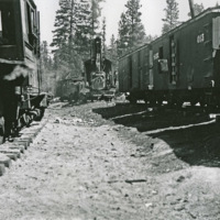 Sumpter, Trains