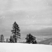 1981 Oregon, Blue Mountains 05