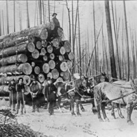Logging Operation, WA 2