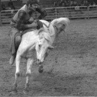 1982 EOSC Rodeo, Bronco Riding 03
