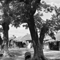 Binmaley, Local Stores 1
