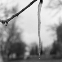 1985 Icicle 02