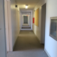 Dorian and Hunt Hall 523