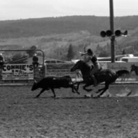 1979 Rodeo, Roping Pairs 08